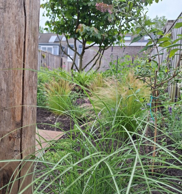Sfeervolle Achtertuin in Zoetermeer