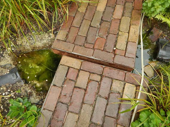 Klimaatbestendige tuin met ondergrondse regenwatertank