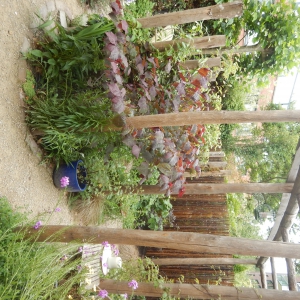 Natuurlijke tuin 7