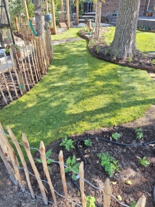 Een gezinstuin vol natuur en functionaliteit in Noordwijkerhout – Landgoed in den Houte