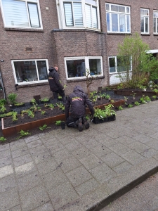 Stijlvolle voor- en zijtuin in Rotterdam Hillegersberg