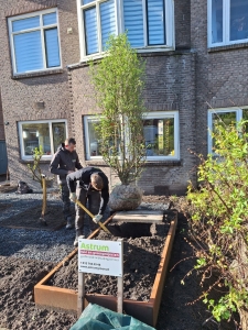 Stijlvolle voor- en zijtuin in Rotterdam Hillegersberg