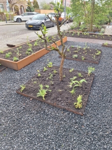 Stijlvolle voor- en zijtuin in Rotterdam Hillegersberg