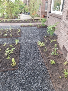 Stijlvolle voor- en zijtuin in Rotterdam Hillegersberg