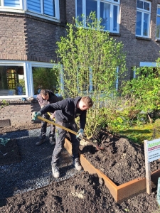 Stijlvolle voor- en zijtuin in Rotterdam Hillegersberg