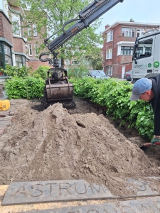 Voortuin in de Vruchtenbuurt, Den Haag