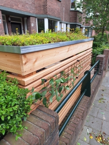 Voortuin in de Vruchtenbuurt, Den Haag