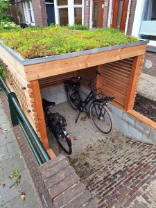 Voortuin in de Vruchtenbuurt, Den Haag