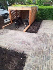 Voortuin in de Vruchtenbuurt, Den Haag