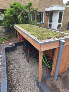 Tuinproject in de Rozentuin, Essesteijn, Leidschendam-Voorburg