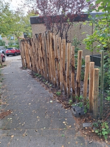 Tuinproject in de Rozentuin, Essesteijn, Leidschendam-Voorburg