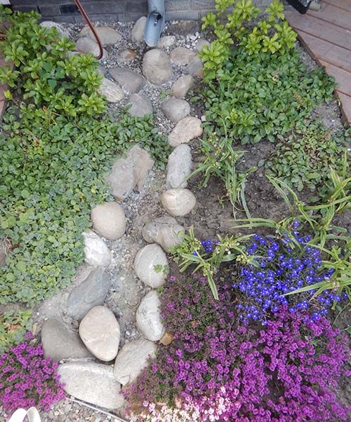 Groene Vakman nodig? Astrum tuin en groenprojecten