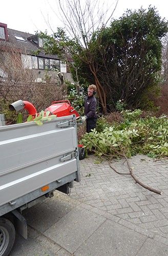 Tuinonderhoud in de winter